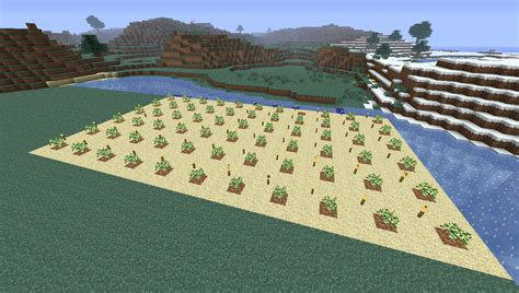 Tutorials/Tree farming – Minecraft Wiki.